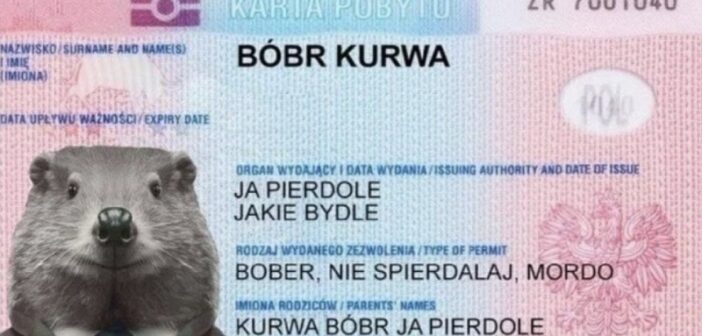 Чому на російських дронах, які атакували Польщу, було написано «За Маргаріту Сімоньян»? Цю інформацію від нас ретельно приховують, але факт залишається фактом: на російських бойових безпілотниках, які атакували територію Польщі, було написано «За Маргаріту Сімоньян». Здавалося б, що за нісенітниця. Однак такий напис може здивувати кого завгодно, але тільки не тих, хто знає, що зробили поляки з Маргарітою Сімоньян